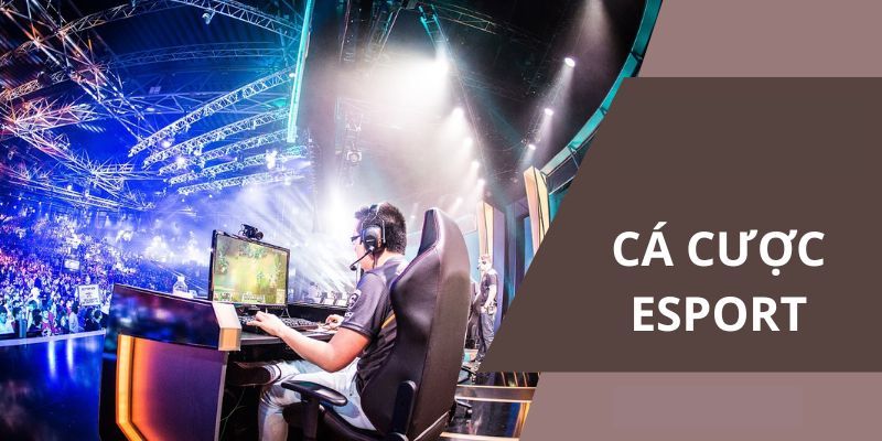 Khám phá cá cược Esports tại CWIN - Chiến lược thắng lớn