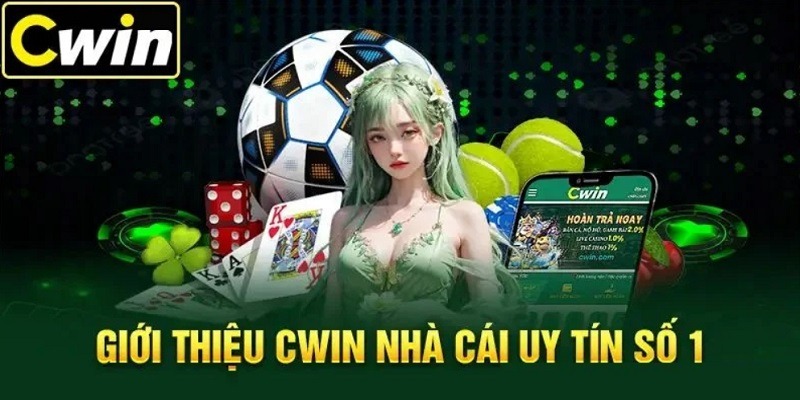 Vài nét giới thiệu CWIN