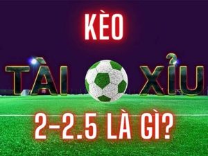 Kèo tài xỉu 2.2.5 - Cược tài xỉu 2 1/4 trái, mẹo và ví dụ